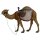 Kamel (Ahorn)