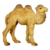 Camel baby