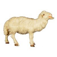 Schaf stehend links