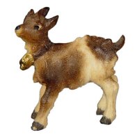 Young goat with bell