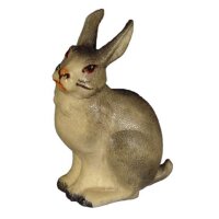 Hare sitting