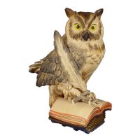 Owl on book with feather