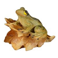 Frog on leaves