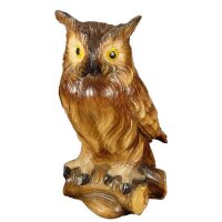 Owl in pine