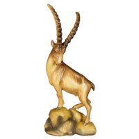 Ibex in pine