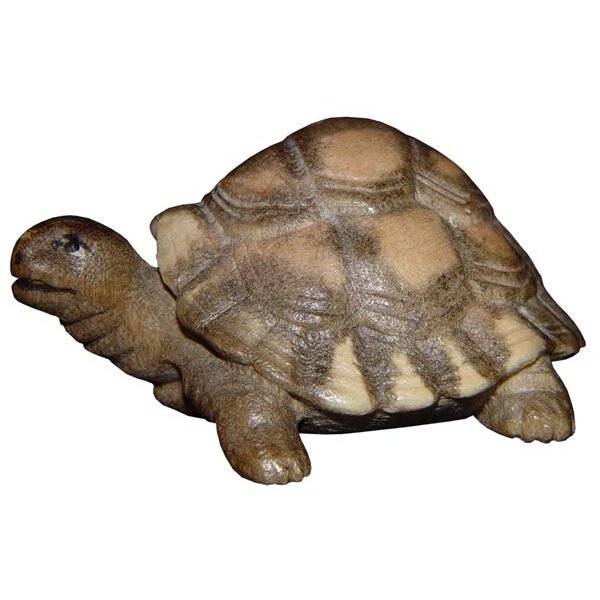 Turtle giant - Color - 1,2 inch