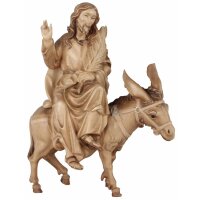 Jesus sitting with donkey