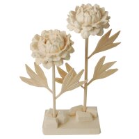 Two peonies with wooden caulis