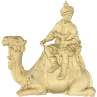 Wise man on camel n.b.