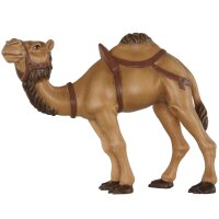 Camel without base