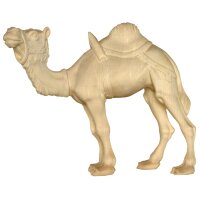 Kamel ohne Sockel