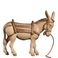 A-Pack-mule  (C)