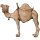 A-Camel