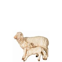 A-Schaf und Lamm stehend