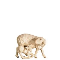 A-Sheep with lamb kneeling