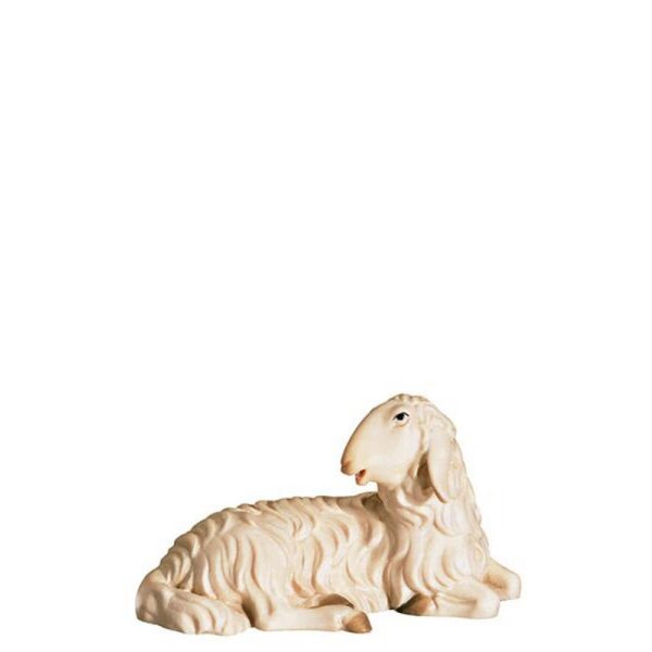 A-Sheep lying down
