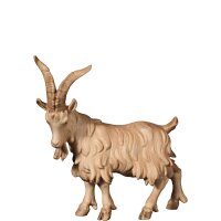 A-He-goat