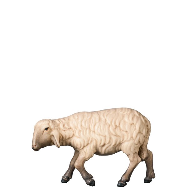 A-Walking sheep