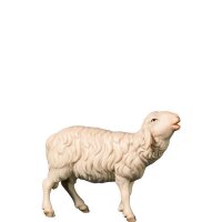 A-Bleating sheep
