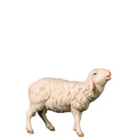 A-Bleating sheep