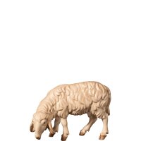 A-Sheep grazing left