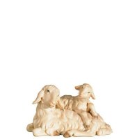 O-Schaf liegend mit Lamm am R&uuml;cken