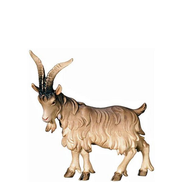 O-He-goat