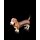 Basset hound (senza piedist. in plexigl)
