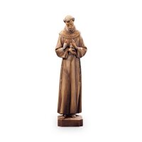 St. Francis from Assisi