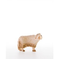 Sheep looking to one side