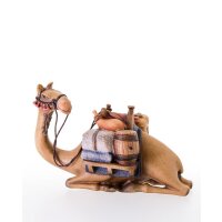 Camel lying-down