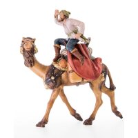 Camel with rider