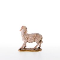 Schaf mit erhobenen Kopf