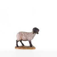 Schwarzkoepfiges Schaf stehend