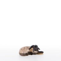 Sheep lying-down with black head