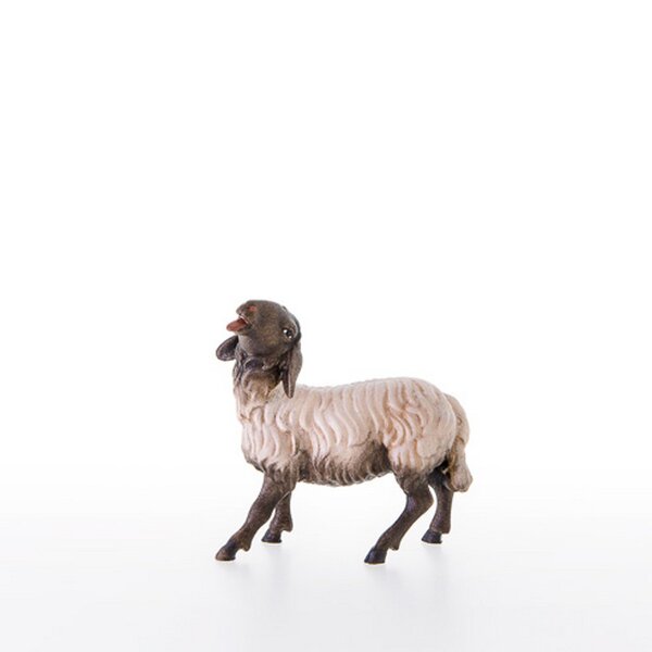 Schwarzkoepfiges Schaf - Color - mit Ölfarbe lasiert  (C ) - 12 cm