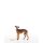 Windhund - Zweifarbig gebeizt  (ZF) - 16 cm