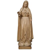 Our Lady of Fatima 5th appearance