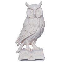 Owl on book