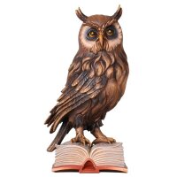 Owl on book