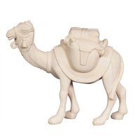 AD Camel with luggage