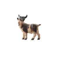 AD Billy goat