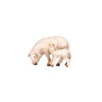 RA Schaf äsend mit Lamm