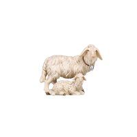 RA Gruppo pecore