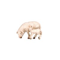 HE Schaf äsend mit Lamm