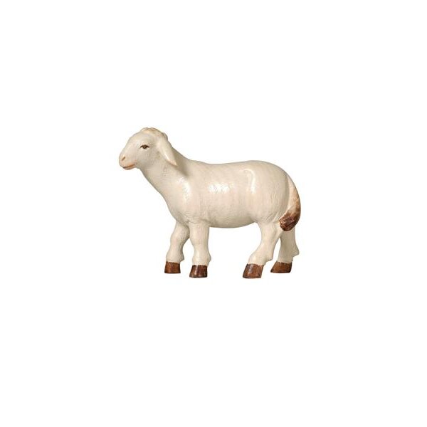 PE Schaf stehend linksschauend