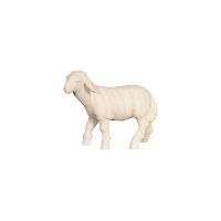PE Schaf stehend linksschauend
