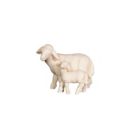 PE Sheep with lamb standing
