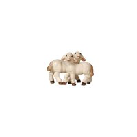 PE Group of lambs