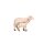 MA Schaf mit Lamm stehend